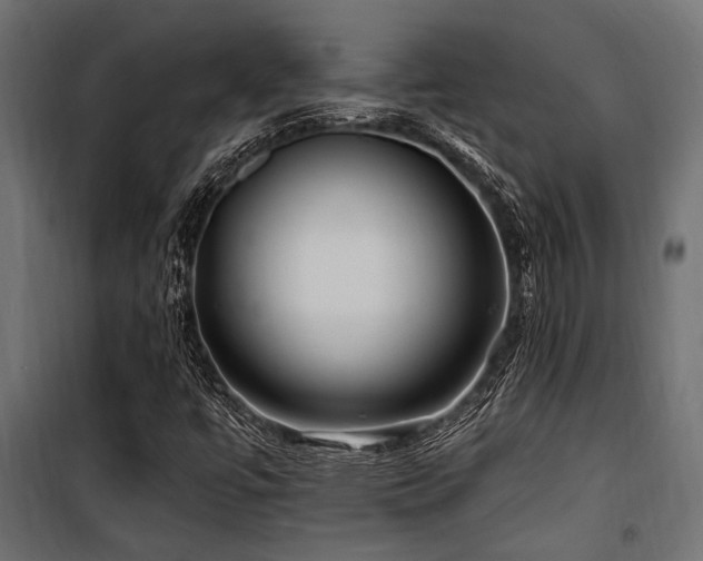 X0000100751447200806191132