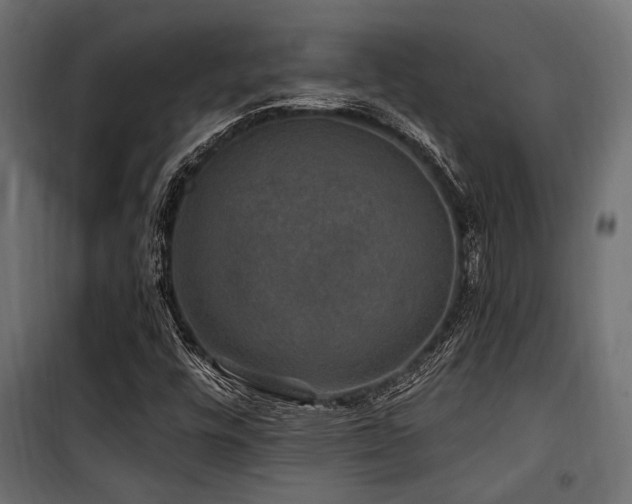 X0000100751448200806191132