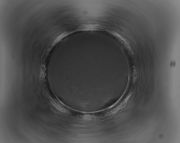 X0000100751449200806191132