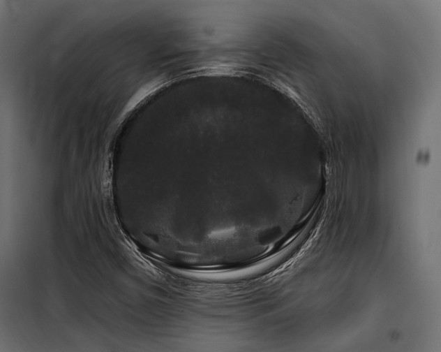 X0000100751450200806191132
