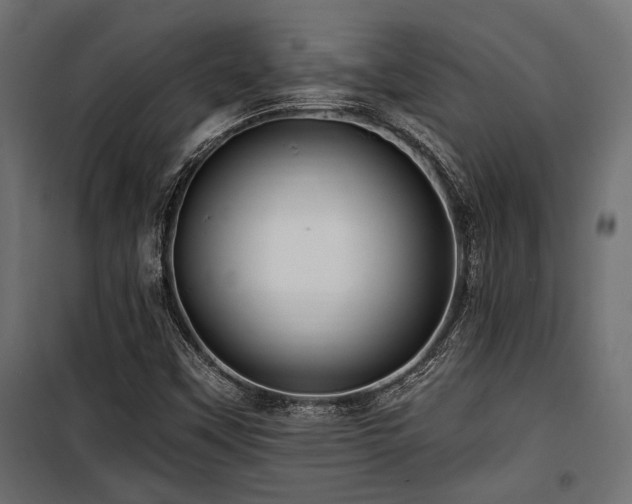 X0000100751451200806191132