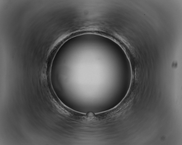 X0000100751452200806191132