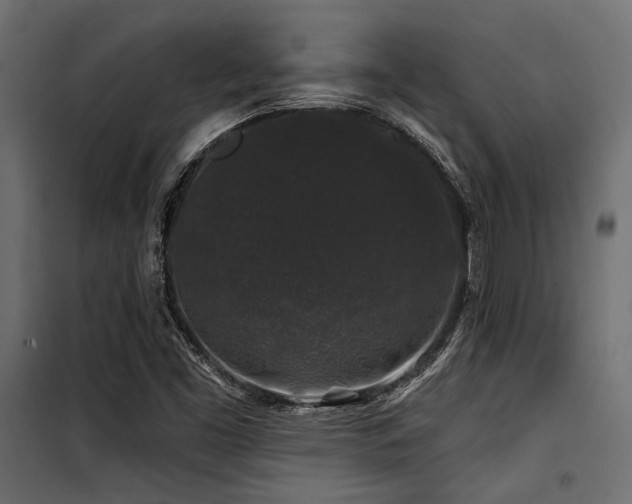 X0000100751453200806191132