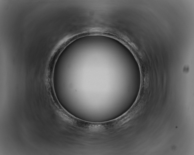 X0000100751454200806191132