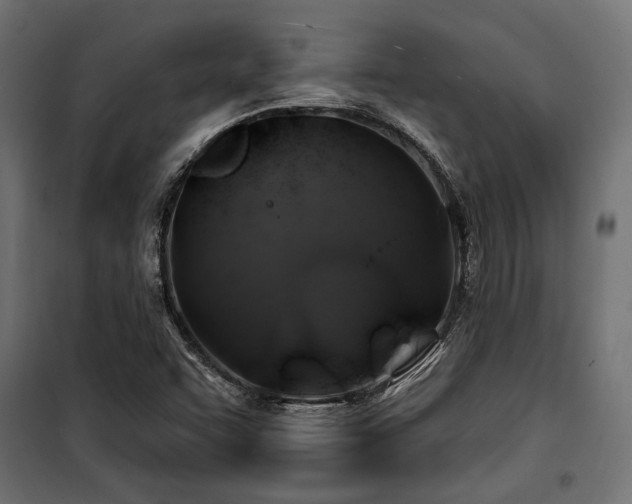 X0000100751455200806191132