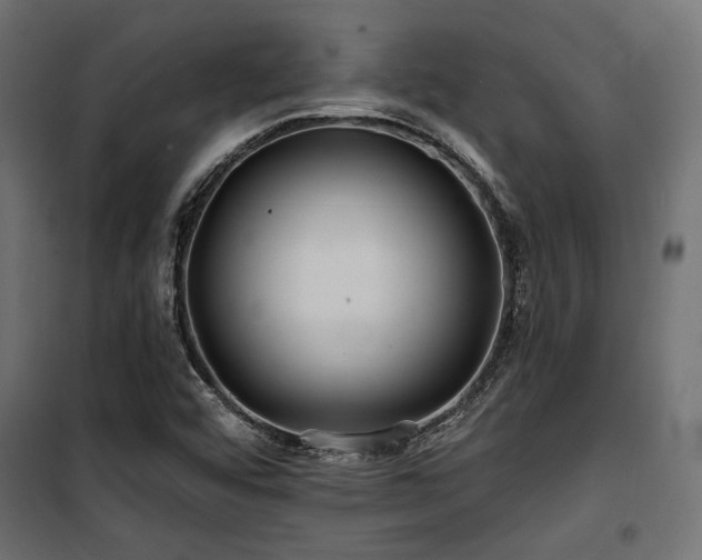 X0000100751456200806191132