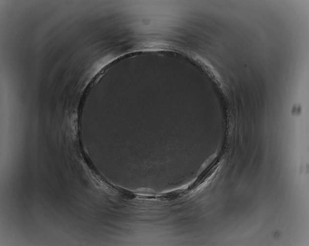 X0000100751457200806191132