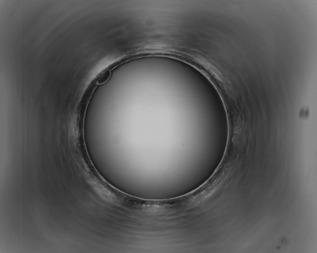 X0000100751458200806191132