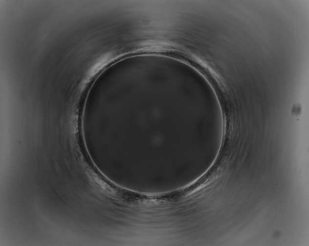 X0000100751459200806191132