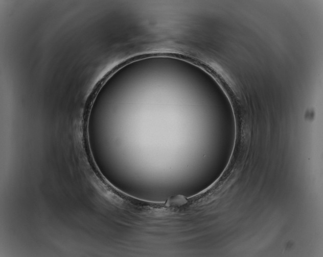 X0000100751460200806191132