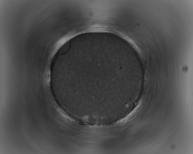 X0000100751461200806191132