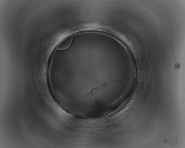 X0000100751463200806191132