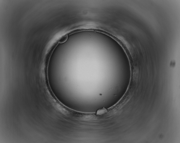 X0000100751464200806191132