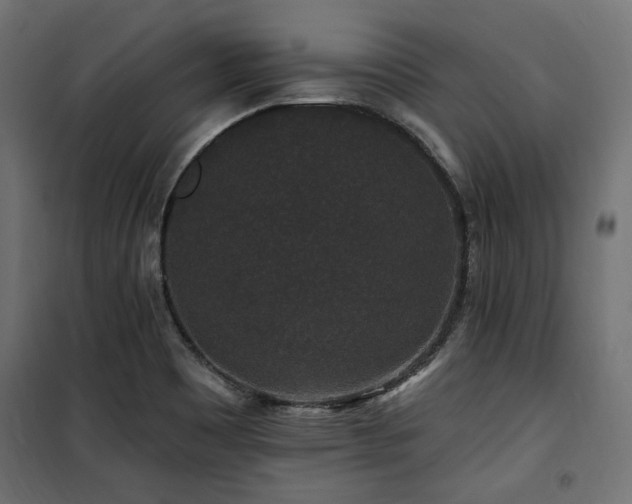 X0000100751465200806191132