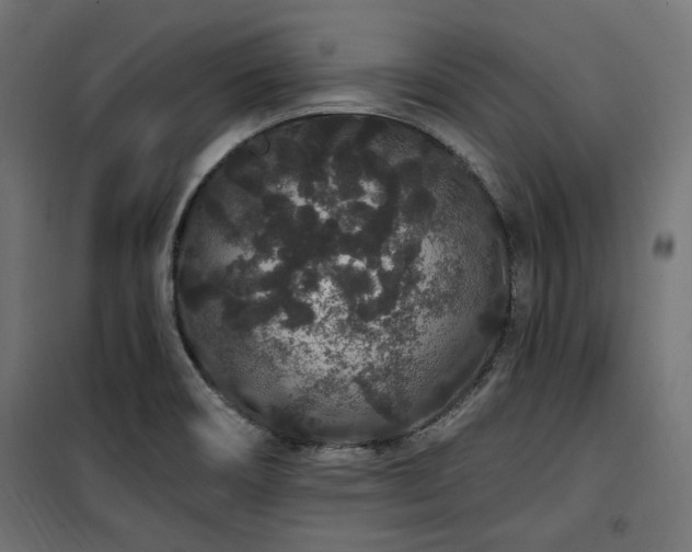 X0000100751466200806191132