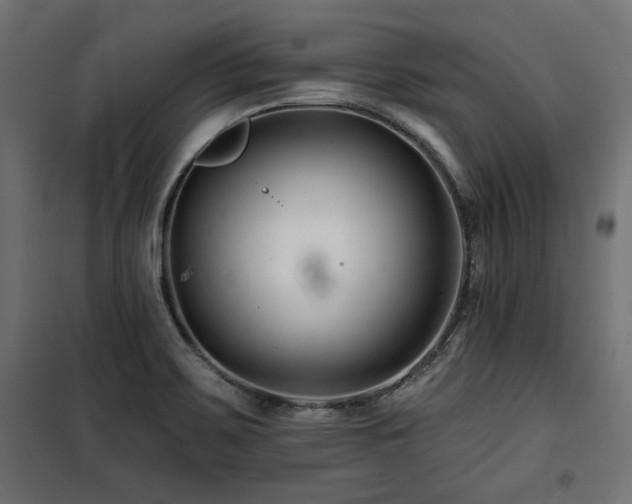 X0000100751467200806191132