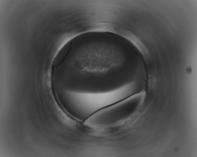 X0000100751468200806191132