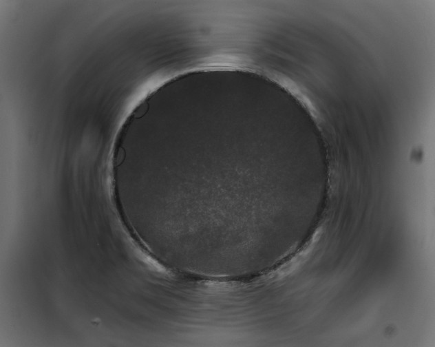 X0000100751469200806191132