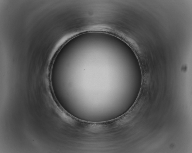 X0000100751470200806191132
