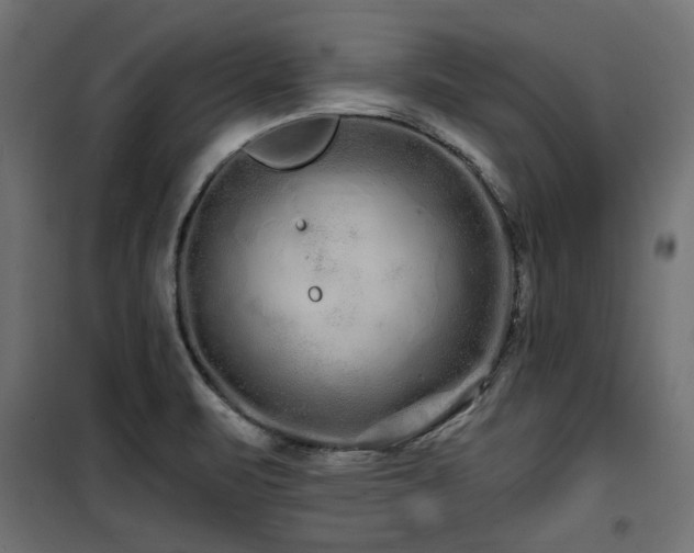 X0000100751471200806191132