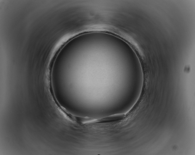 X0000100751472200806191132