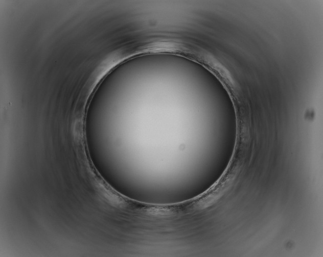 X0000100751473200806191132