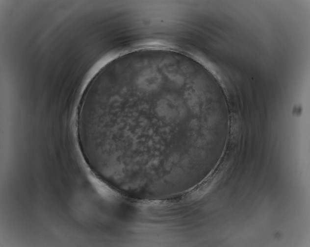 X0000100751474200806191132