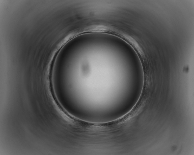 X0000100751475200806191132