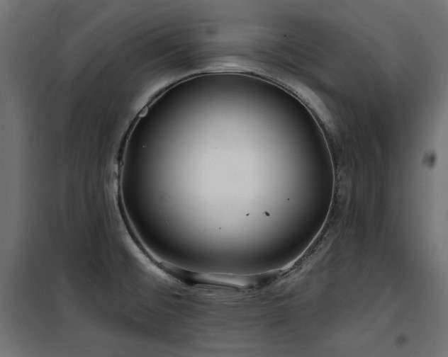 X0000100751476200806191132