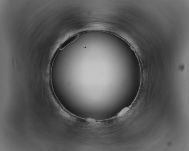 X0000100751477200806191132