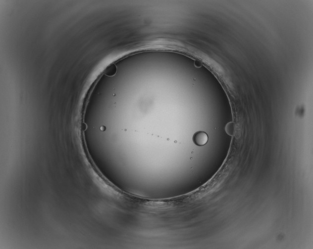 X0000100751478200806191132