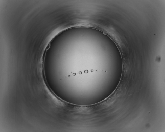 X0000100751479200806191132