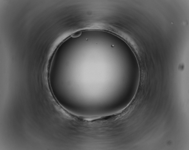 X0000100751480200806191132