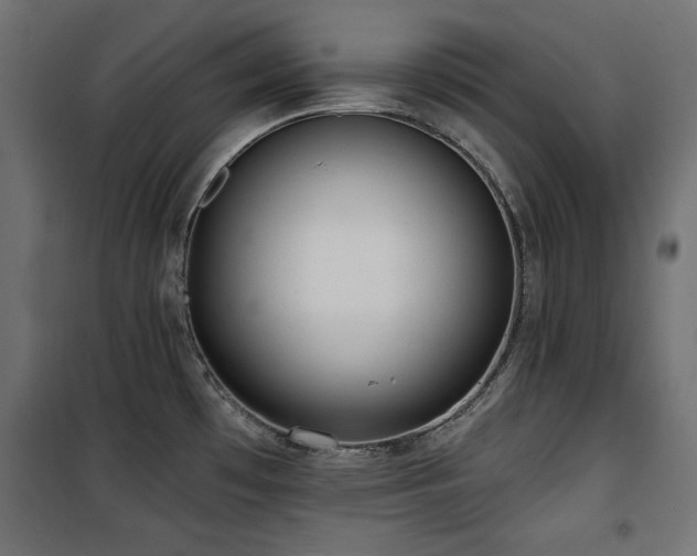 X0000100751481200806191132