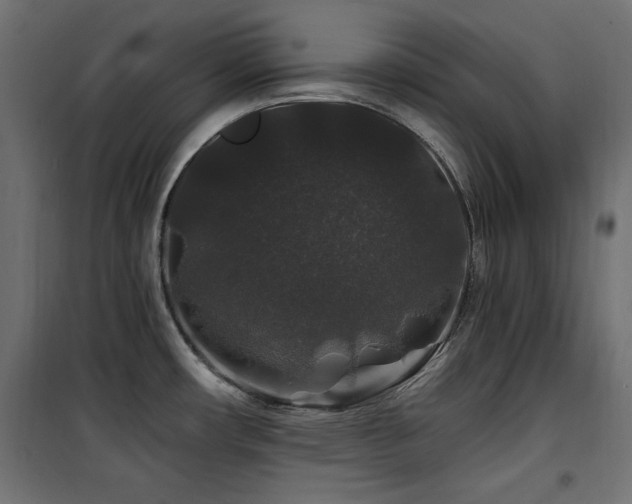 X0000100751482200806191132