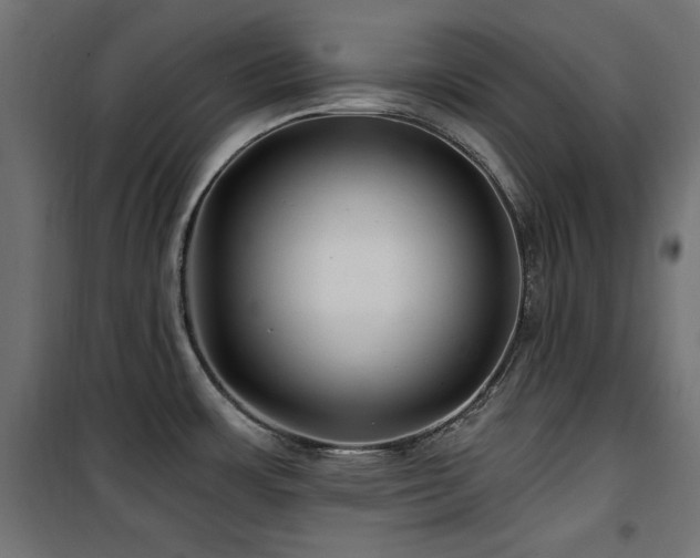 X0000100751483200806191132