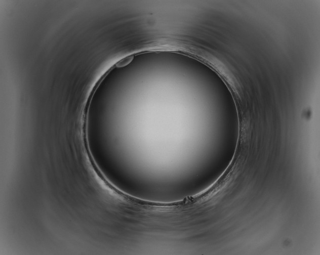 X0000100751484200806191132