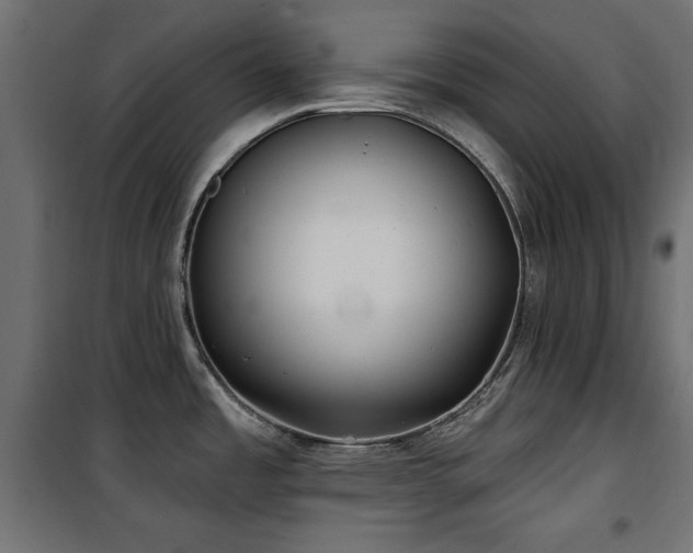 X0000100751485200806191132