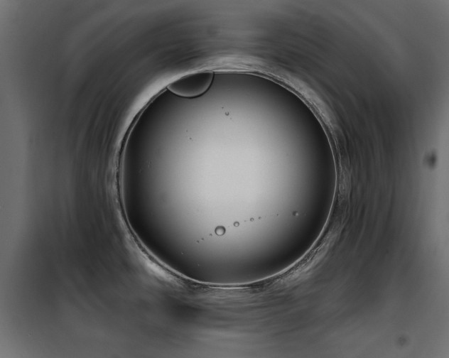 X0000100751486200806191132