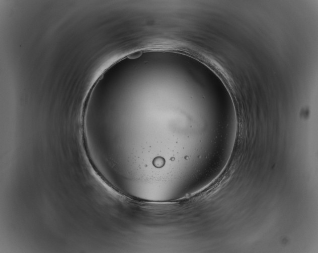 X0000100751487200806191132