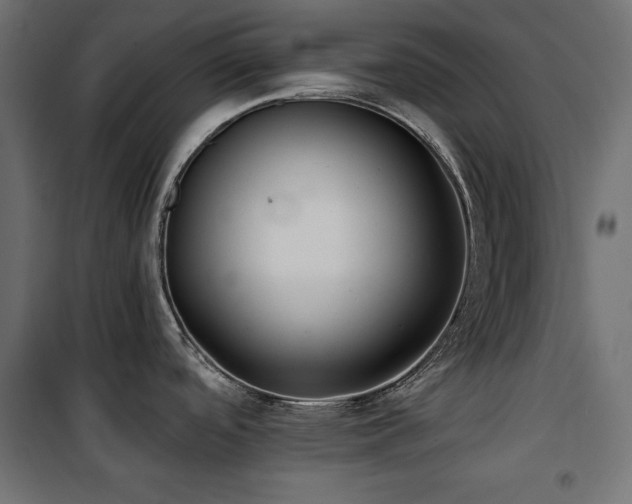 X0000100751488200806191132