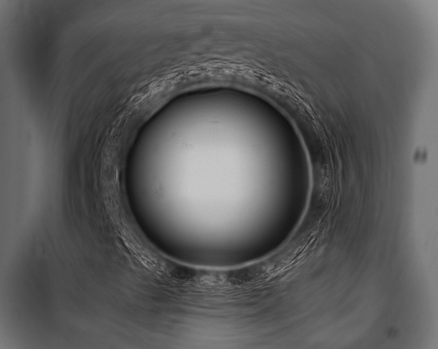 X0000100751489200806191131