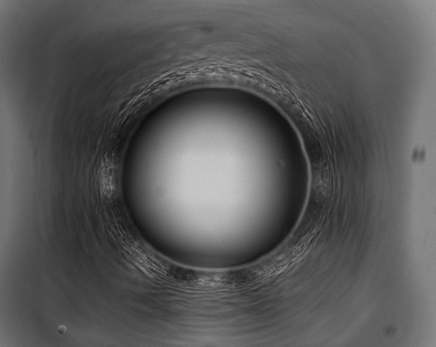 X0000100751490200806191131