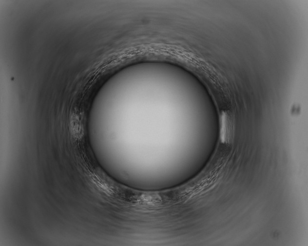 X0000100751491200806191131