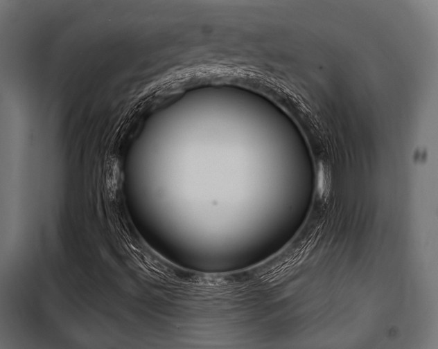 X0000100751492200806191131