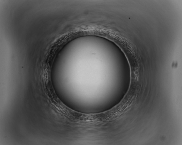 X0000100751493200806191131