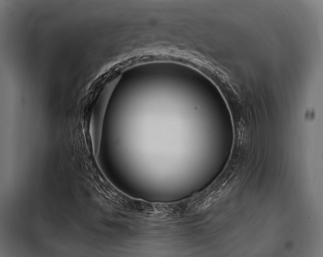 X0000100751494200806191131
