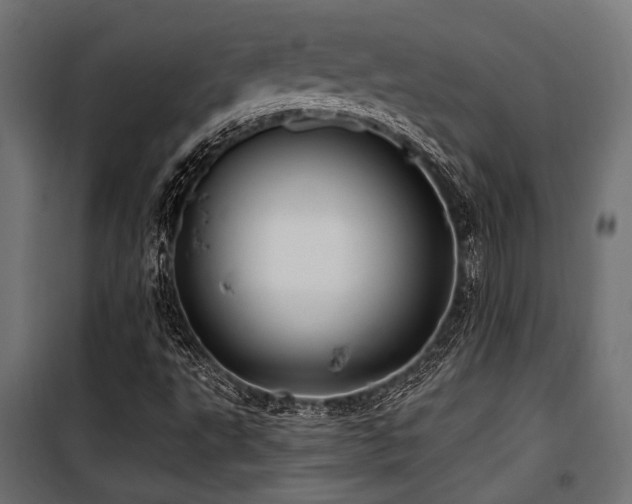 X0000100751495200806191131