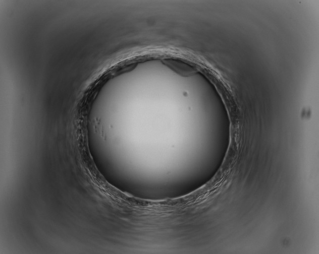 X0000100751496200806191131