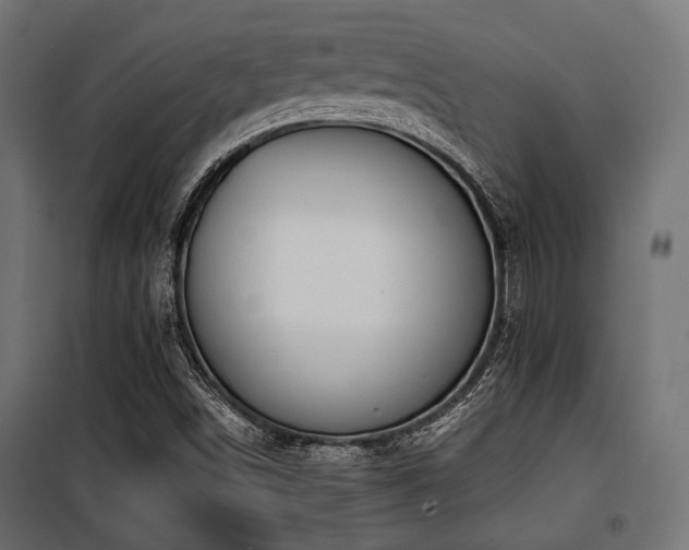 X0000100751498200806191131